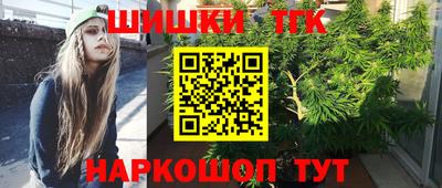 СК Тула