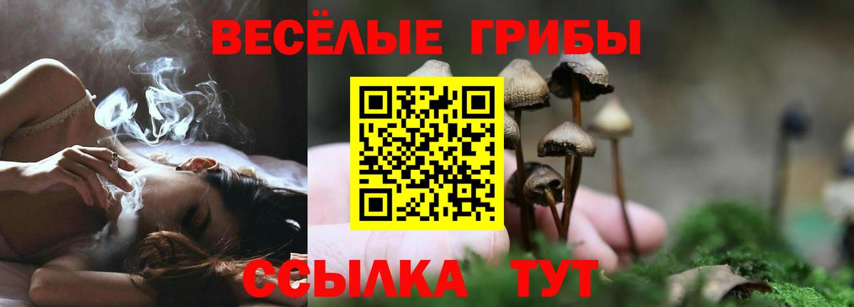 Балашиха  Галлюциногенные грибы MAGIC MUSHROOMS  где найти   Вход с VPN 